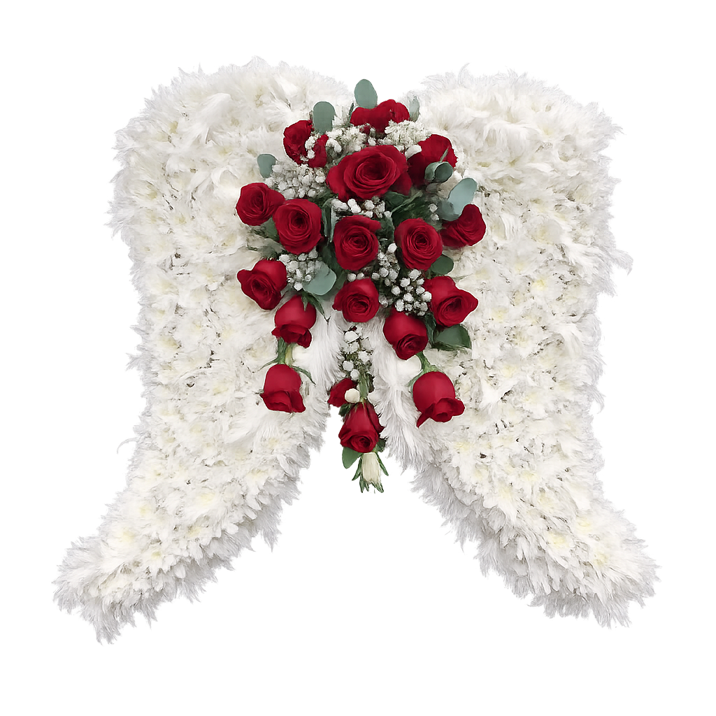 Angel Wings #300